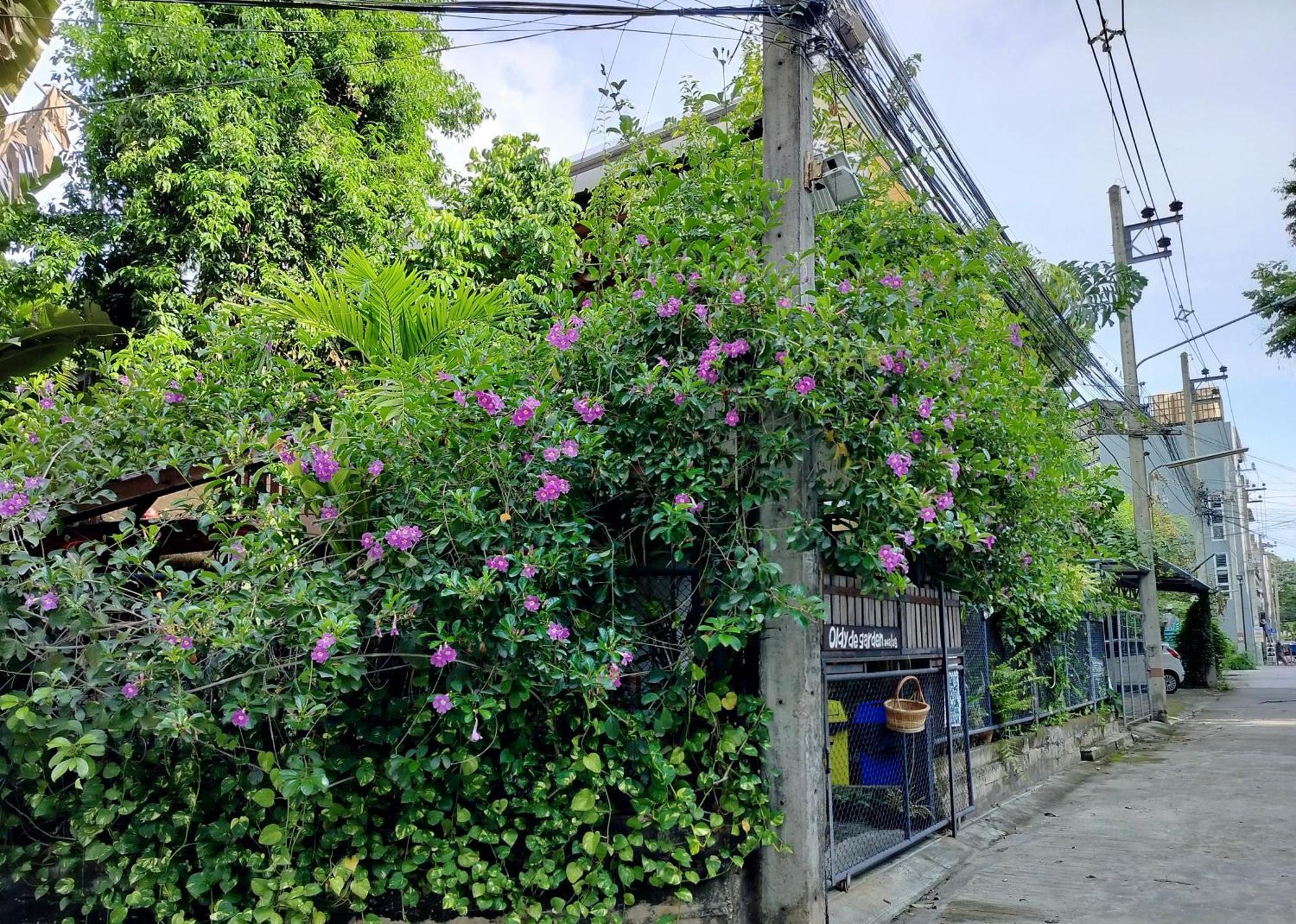 Oldy De Garden Aparthotel Chiang Mai Ngoại thất bức ảnh