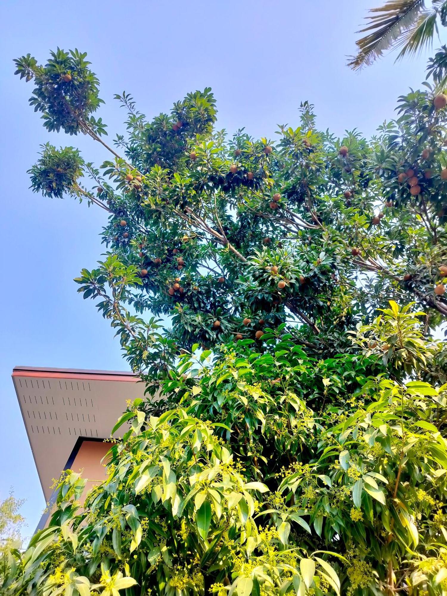 Oldy De Garden Aparthotel Chiang Mai Ngoại thất bức ảnh