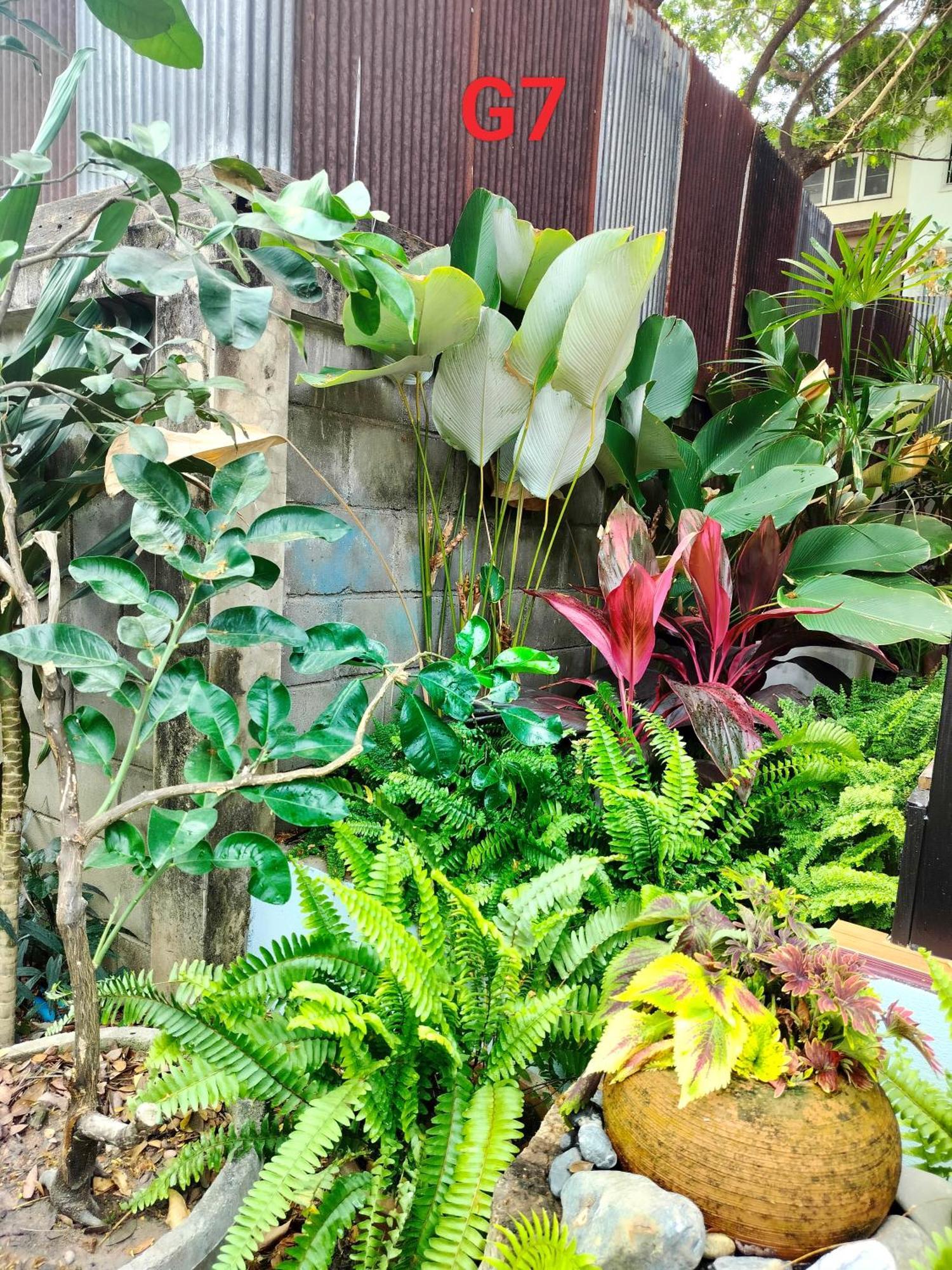Oldy De Garden Aparthotel Chiang Mai Ngoại thất bức ảnh